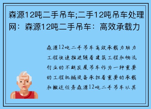 森源12吨二手吊车;二手12吨吊车处理网：森源12吨二手吊车：高效承载力，助力工程快速推进